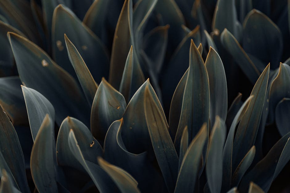 Trending Nature Wallpaper Designs in 2024